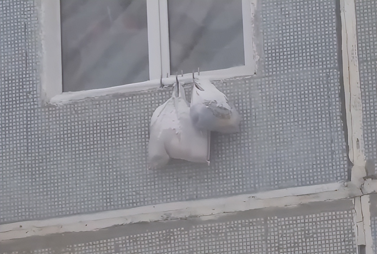 零下71度全世界最冷的地方游牧,在俄罗斯最冷的地方达到零下71度