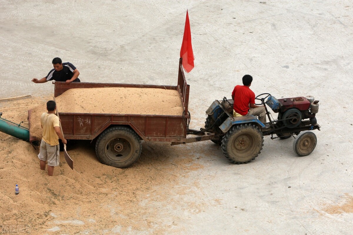 粮食补贴款没到账该找谁要,粮食补贴没到账怎么办