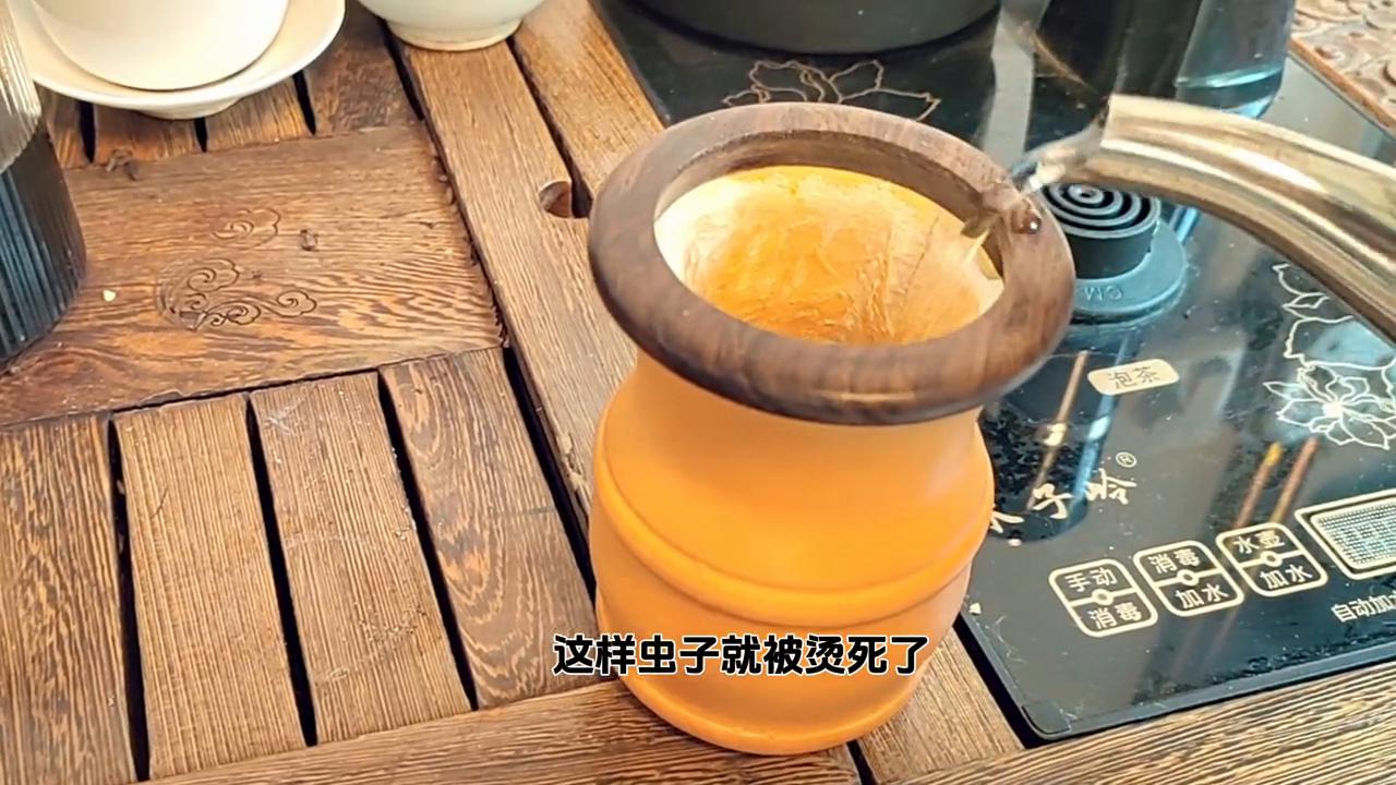 葫芦里面长虫是什么意思,葫芦长虫了怎么办