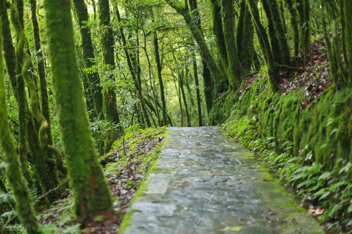 2022云南旅游景点攻略自由行,云南旅游玩得不过瘾