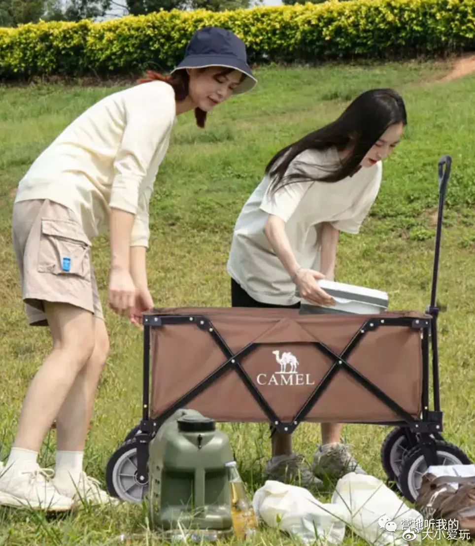 纠结买两百多的云台还是九百多的,纠结买不买野餐帐篷