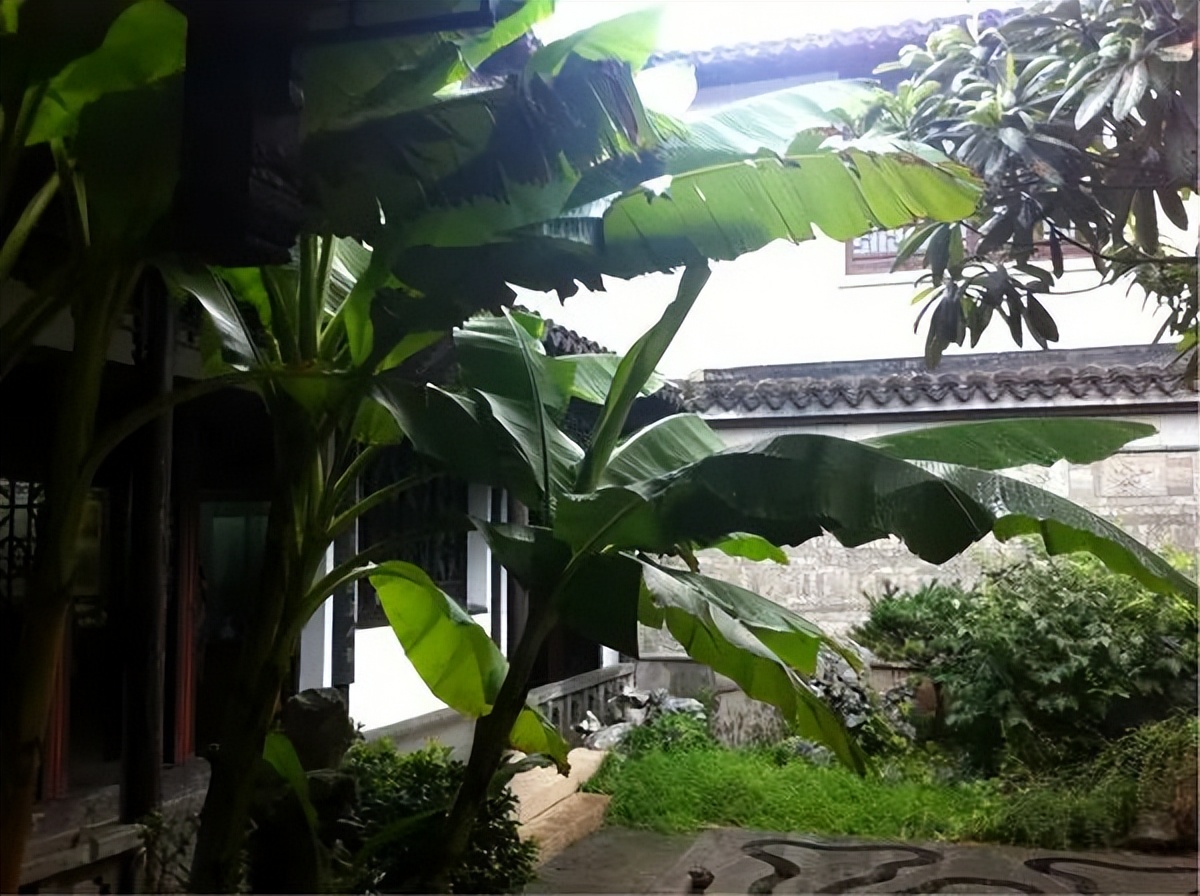 夏日清晨阳光唯美的古诗词,炎炎盛夏的古诗词