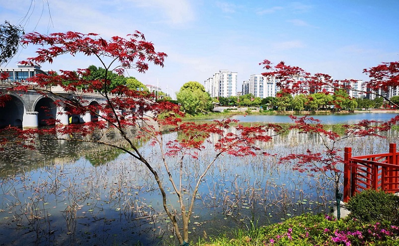 南京免费景点排行榜前十名,南京旅游年卡免费景点一览表