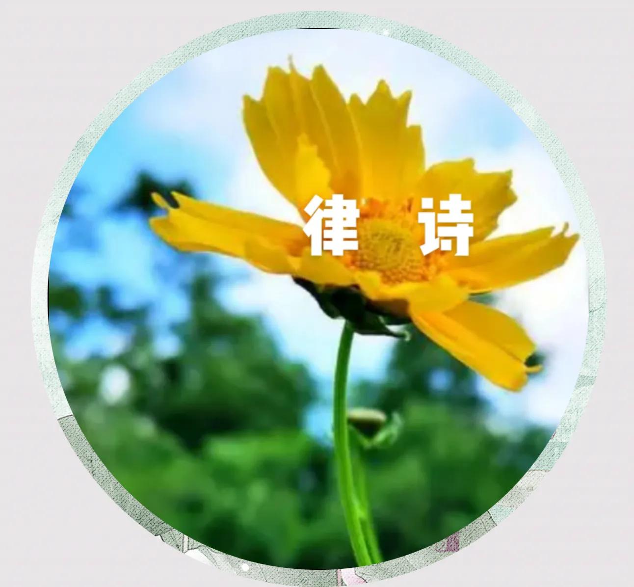 2022年，绿汀文学社《天天诗刊》106期