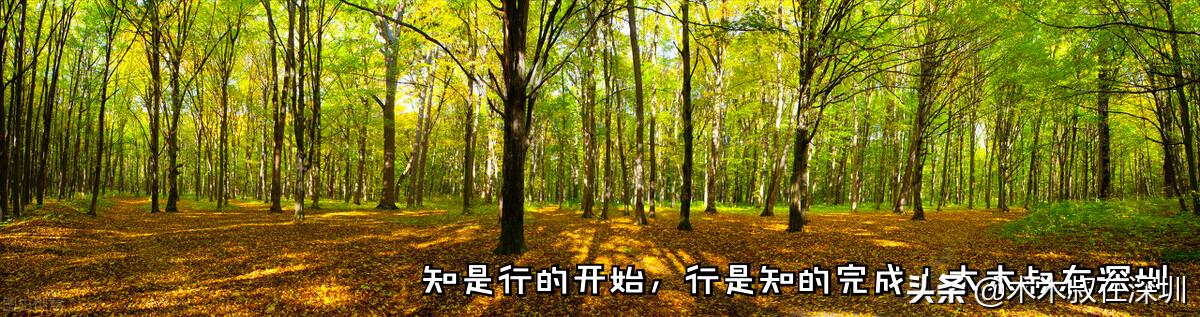 英维克千亿市值,英维克华为公司