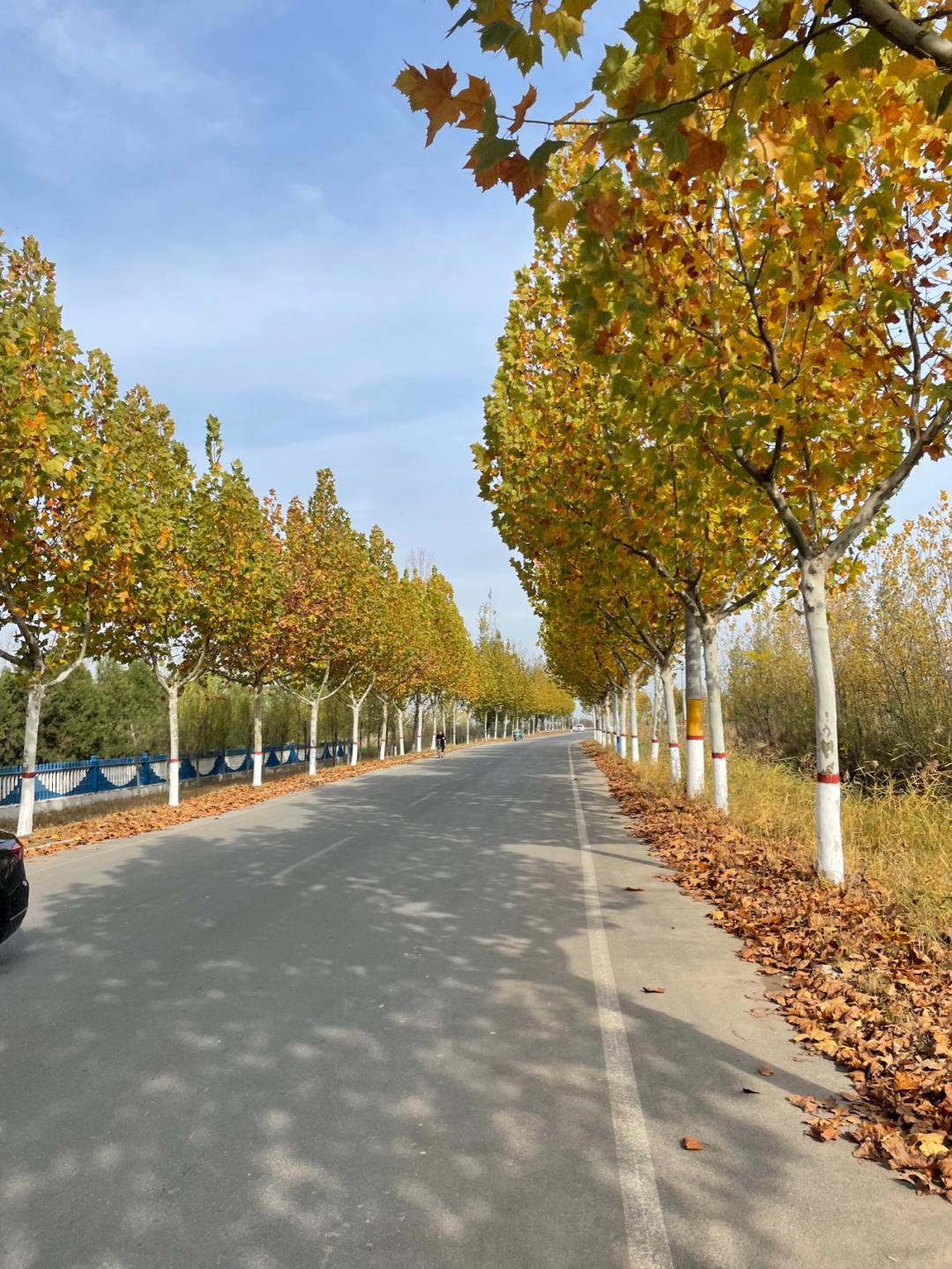 环渤海湾骑行记,环山东骑行日记青岛平度市