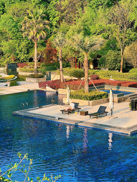 初夏之行,绿城杭州玫瑰园度假酒店优惠