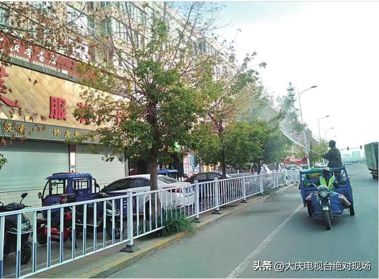 大庆市多部门积极行动救治糖槭树