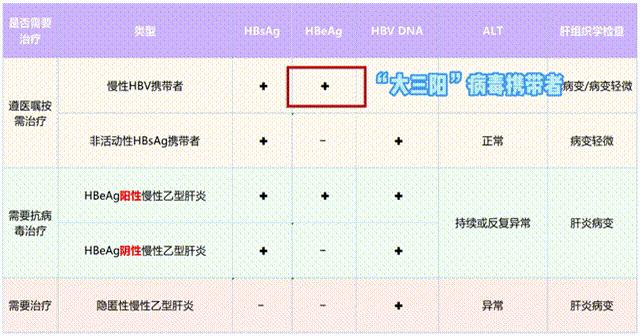 如何快速看懂乙肝化验单,乙肝携带查乙肝五项怎么看化验单