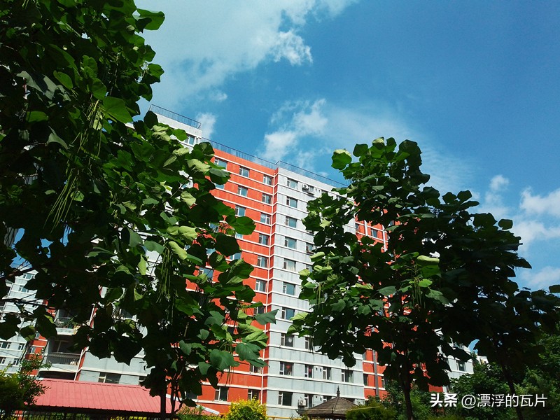 乐视y2pro手机优点和缺点,乐视y2pro和苹果对比