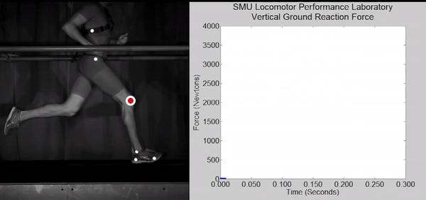 赤兔跑步机和佑美跑步机哪个好,跑步机测评排行榜前十名2021