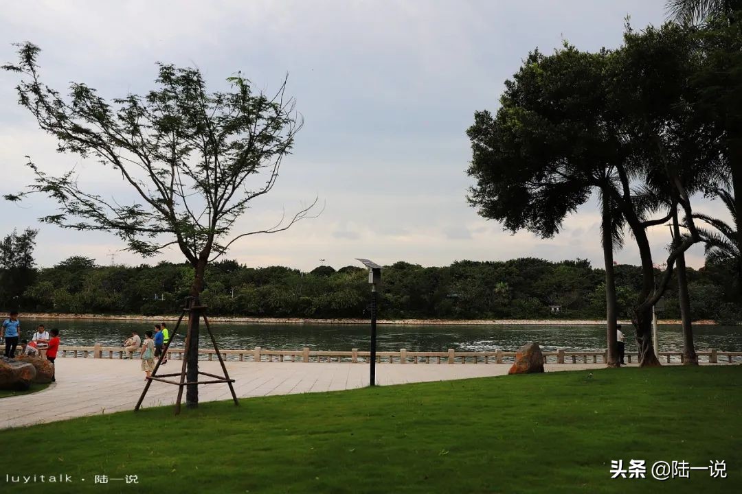 滨北再添新地标！四里建兴大排档，咸蛋黄焗彩电大龙虾只是个暖场