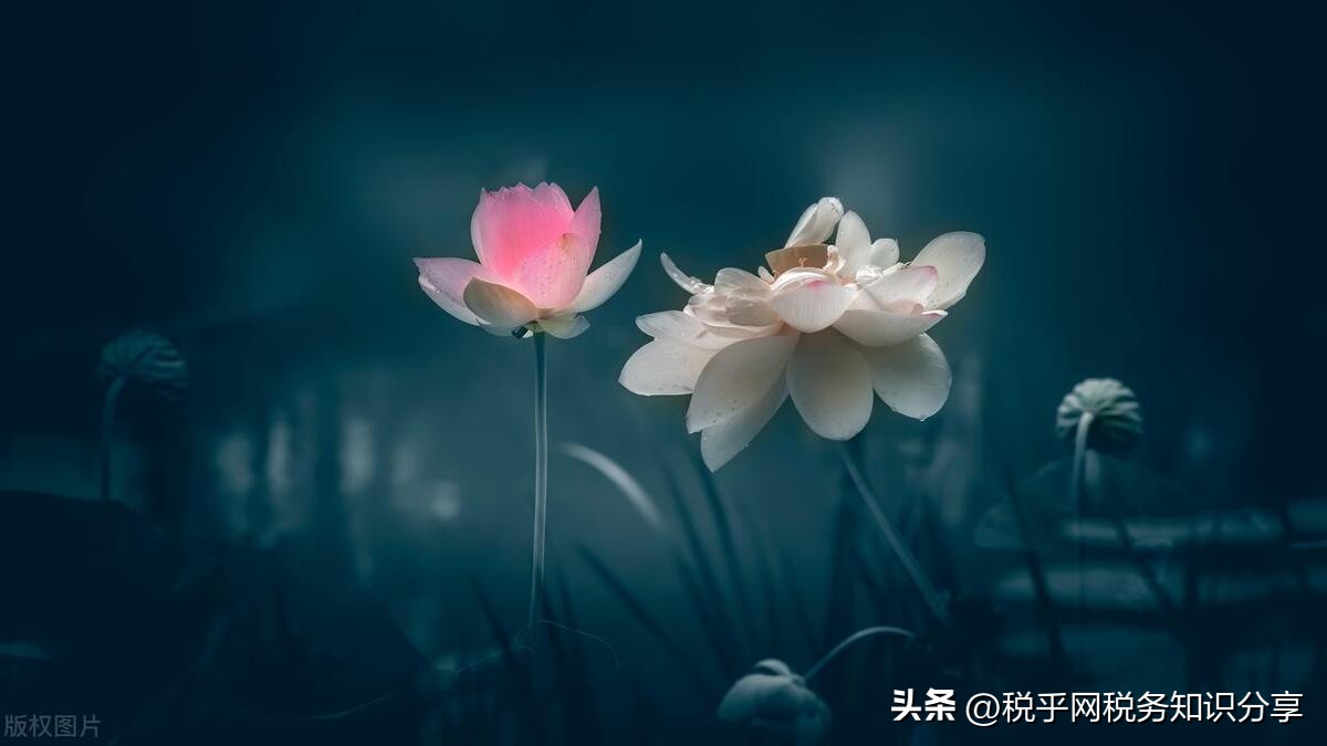 转让股权收入计入收入总额吗,高新企业收入总额到底如何计算