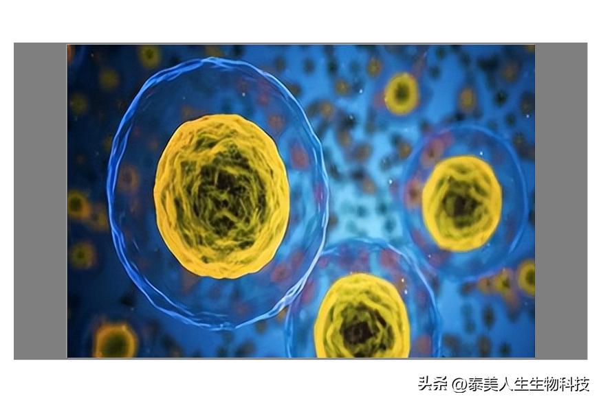 干细胞脊髓损伤治疗图片,干细胞治疗脊髓损伤临床案例