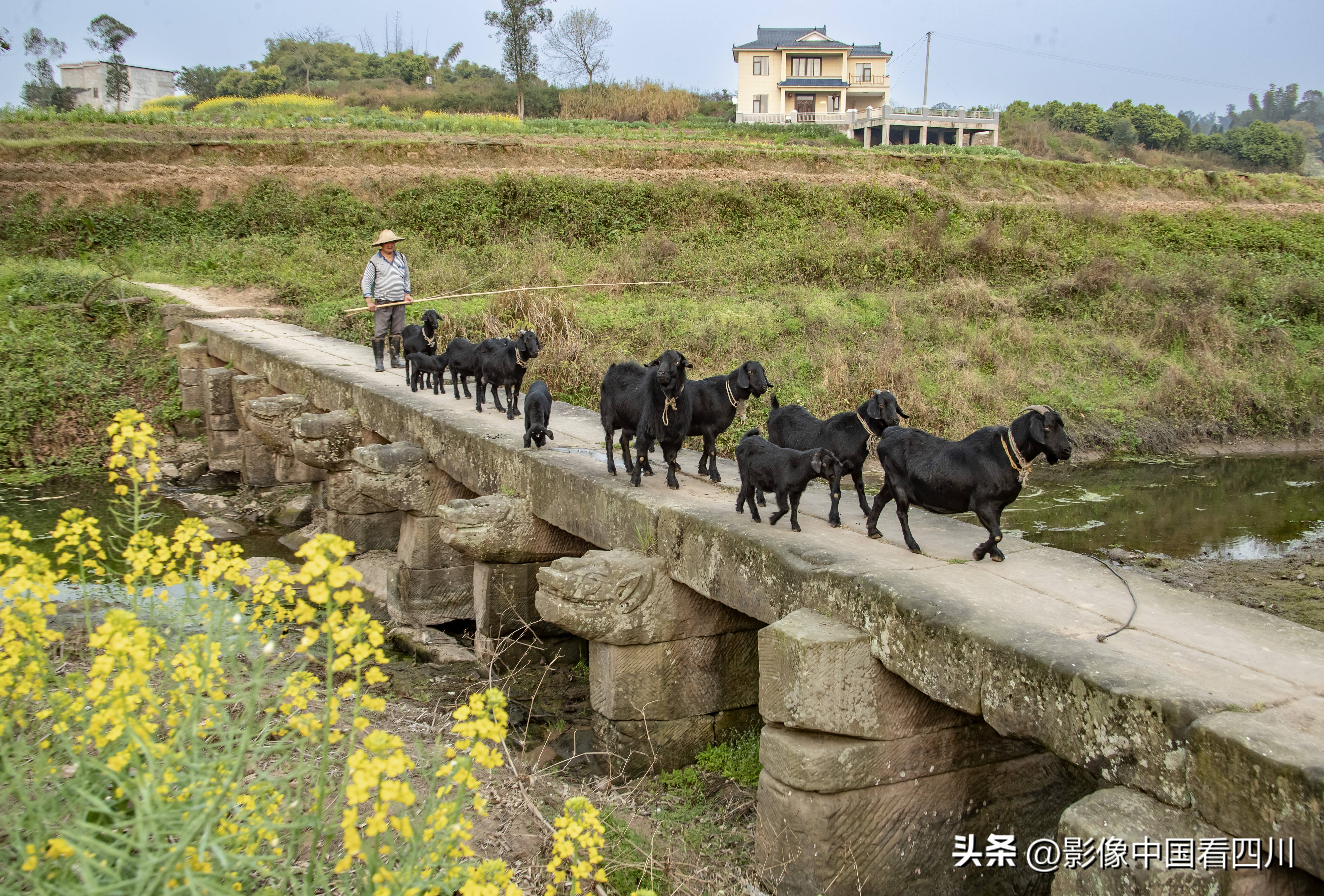刘国兴的2022年:冬去春来,愿岁月静好(上集)