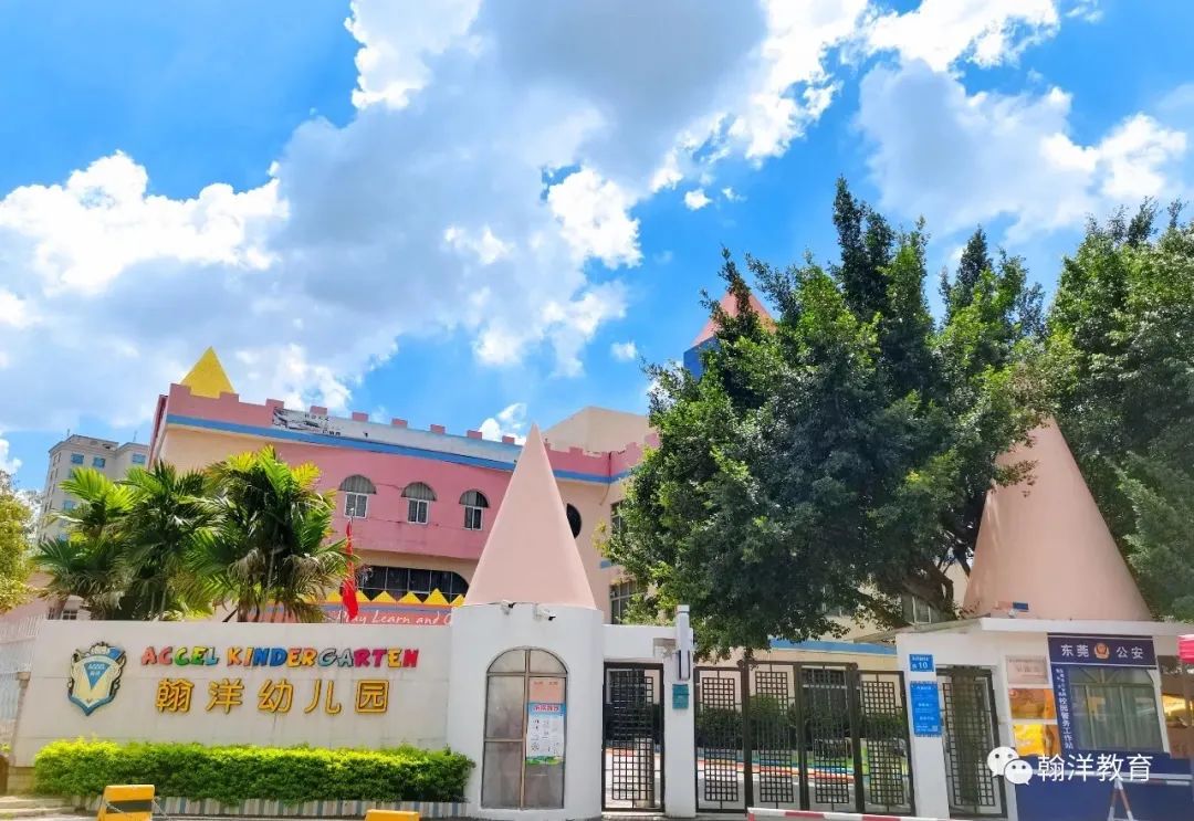 融合教育走进幼儿园培训,融合教育走进幼儿园