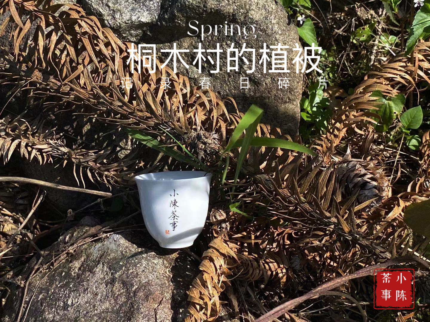 金骏眉有茶毫与无茶毫的差别,金骏眉茶毫特别多