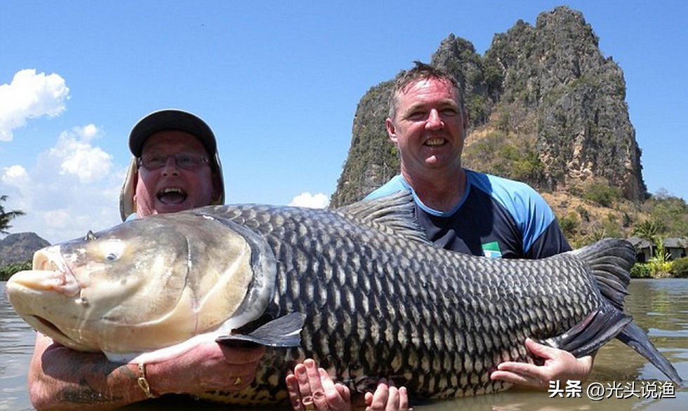 邓刚盘老板合集,邓刚盘老板的视频