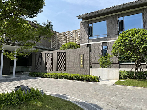 鍒濆涔嬫梾榛勯噾娴峰哺,鍒濆涔嬫梾