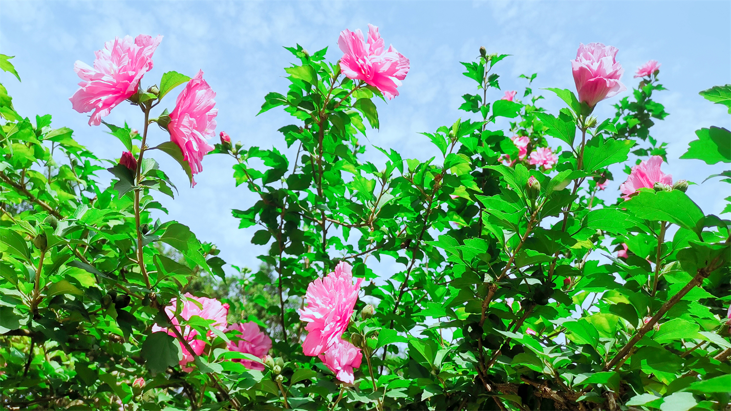 往事如风一切如梦,往事如风人生如梦岁月如歌