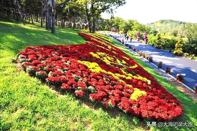 避暑旅游景点25度的地方推荐,夏季推荐避暑的旅游景点