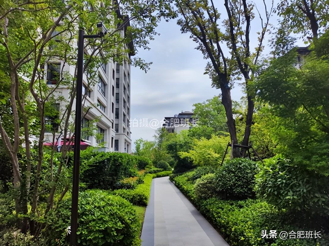 紧邻公园不如住在公园，实探以中式园林闻名的滨湖区葛洲坝紫郡府