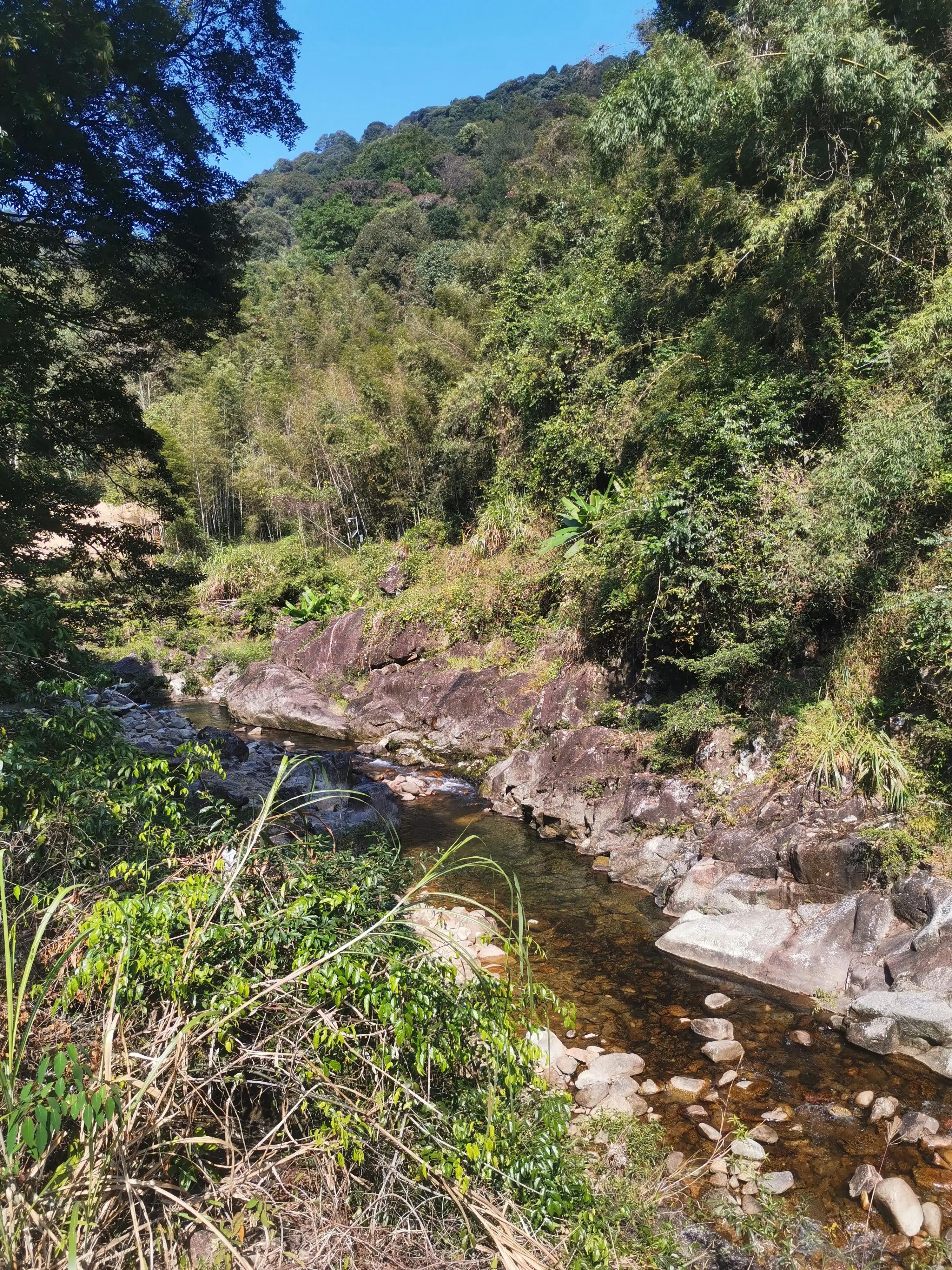 南昆山温泉民宿,南昆山国家森林公园