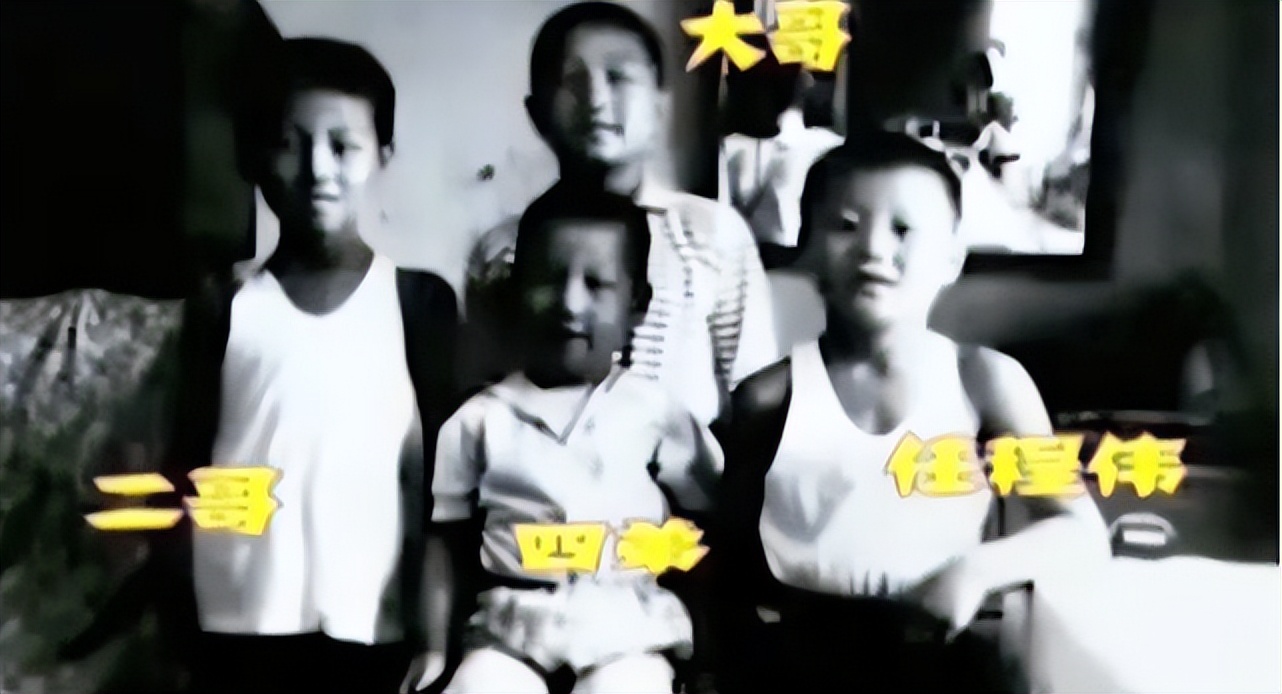 县委大院梁三宝扮演者,县委大院三宝主任扮演者