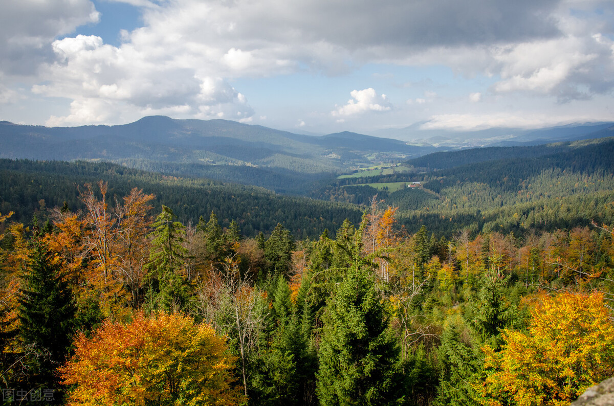 职场裁人惯用手段,公司裁人的套路应对方法