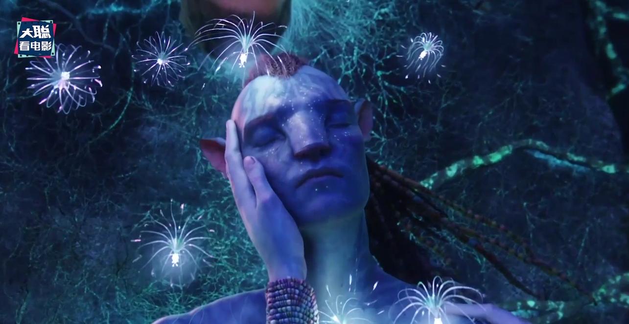 阿凡达解密,阿凡达2详细攻略大全