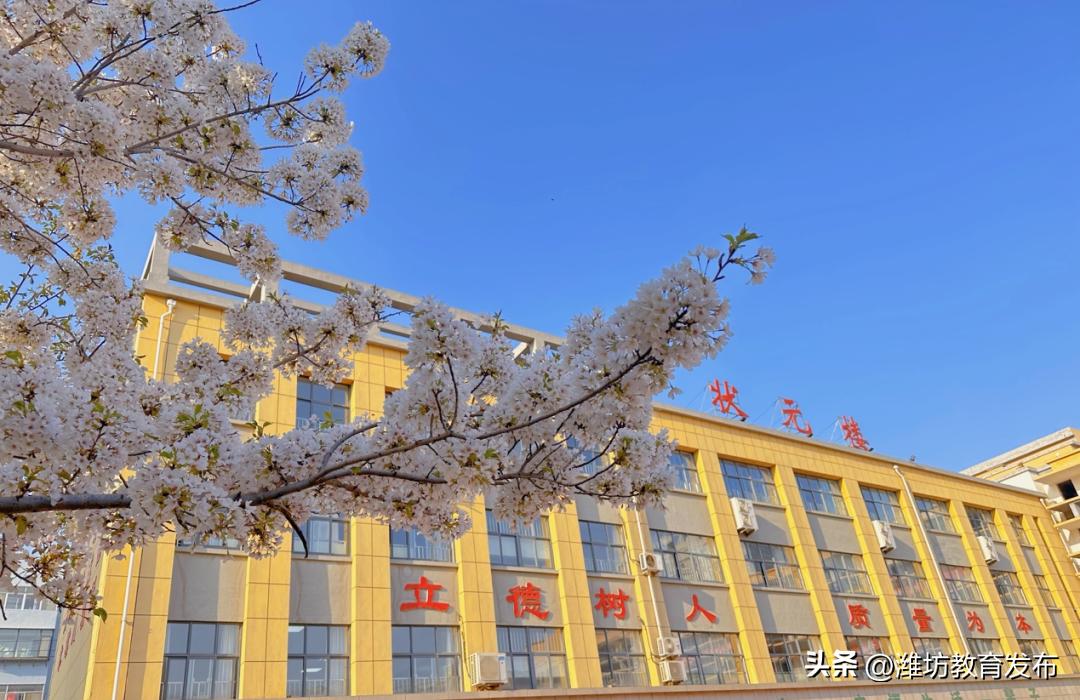 美！潍坊校园春景强势来袭