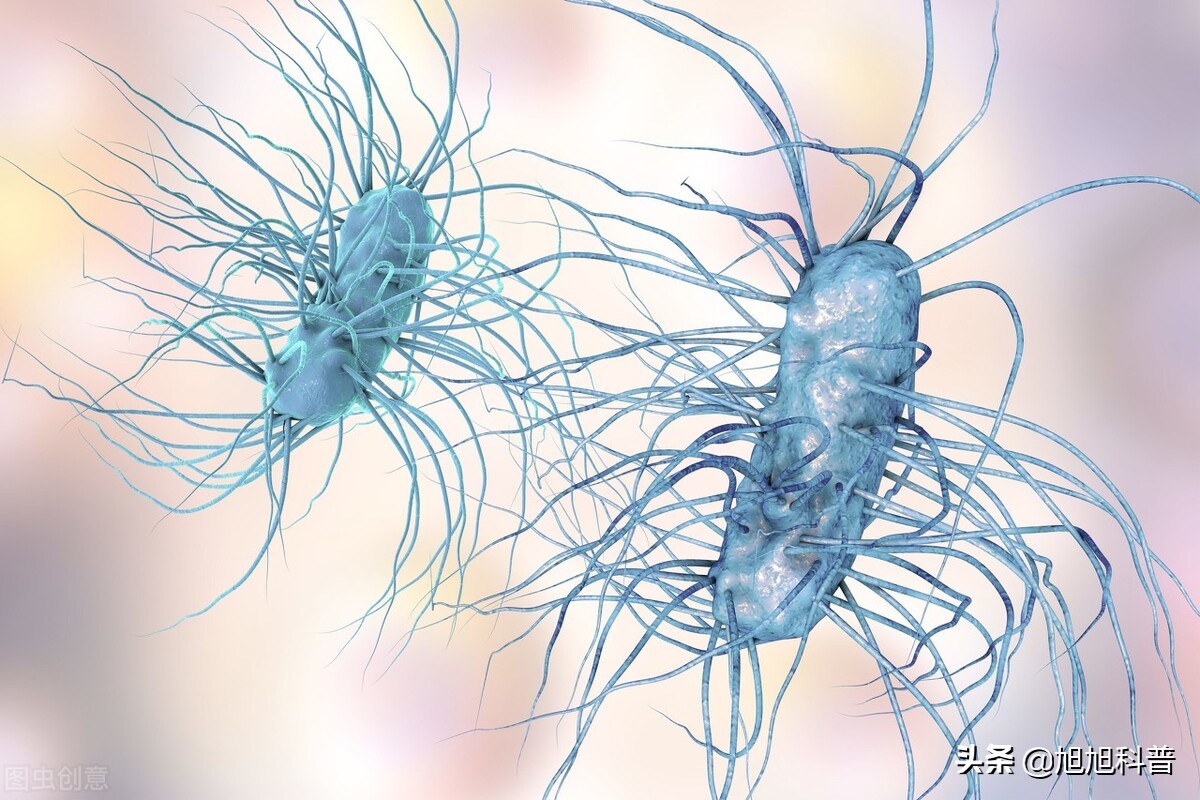 蠕虫可以杀死癌症细胞吗,科学家利用蠕虫杀死贪吃蛇癌细胞