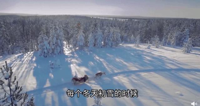 去哪看极光最好的地方,去哪里看极光最好的地方