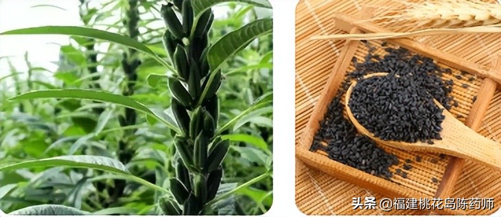 补阴十味中药,补阴第一的中药