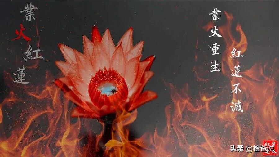 鍗佸ぇ鏈簮涔嬬伀鎺掑悕,涓栫晫鍗佸ぇ鏈簮寮傜伀