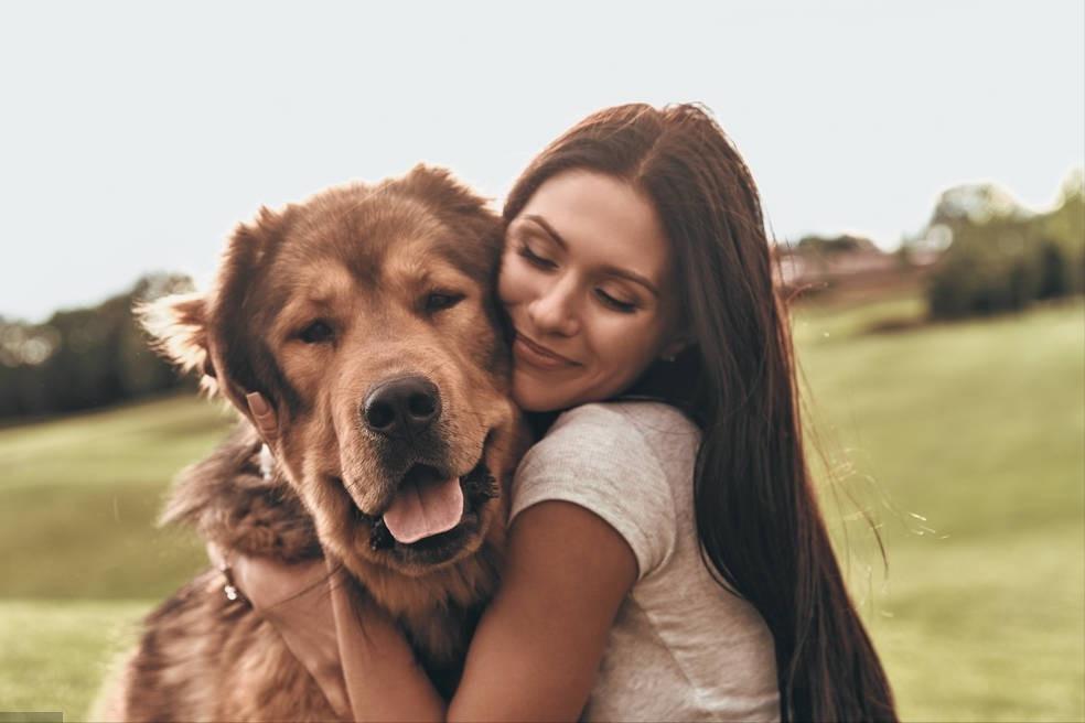 养公狗的5大好处你知道吗,养公狗的这些优势你知道吗