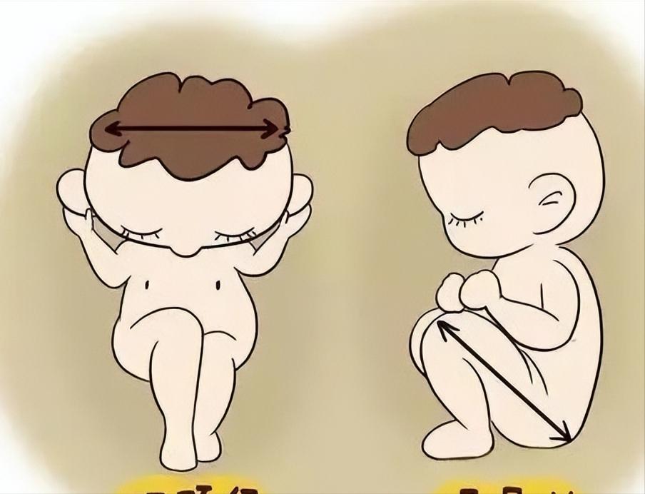 孕期怎么看胎儿长相,孕期可以判断孩子是谁的嘛