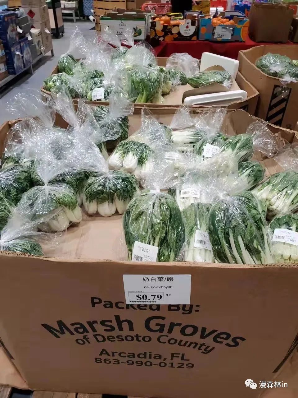 哇哦!原来美国大城市也有人摆地摊卖菜