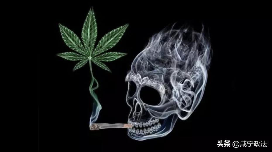 626国际禁毒日主题宣传活动,626国际禁毒日宣传活动政务信息