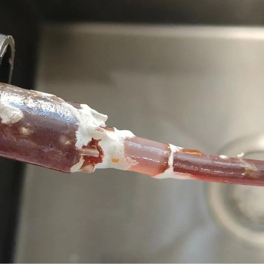 不建议把它放在厨房，小心长满霉菌！给娃吃之前千万看仔细了