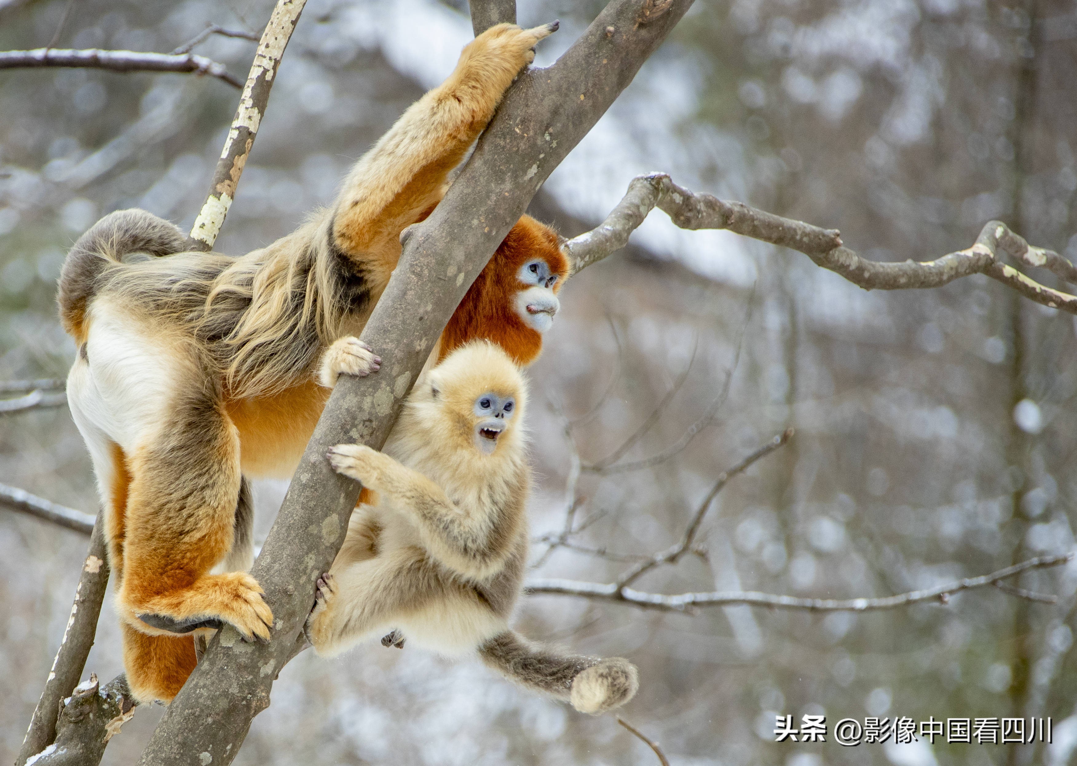 刘国兴的2022年:冬去春来,愿岁月静好(上集)