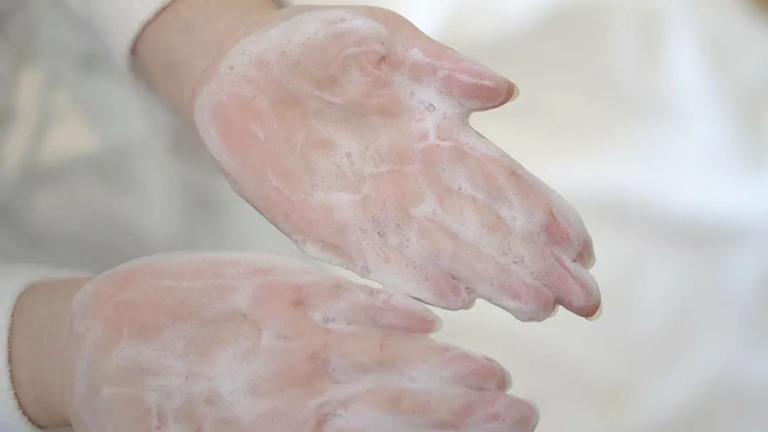 油头掉发适合的洗发水,油头发用什么洗发水好用