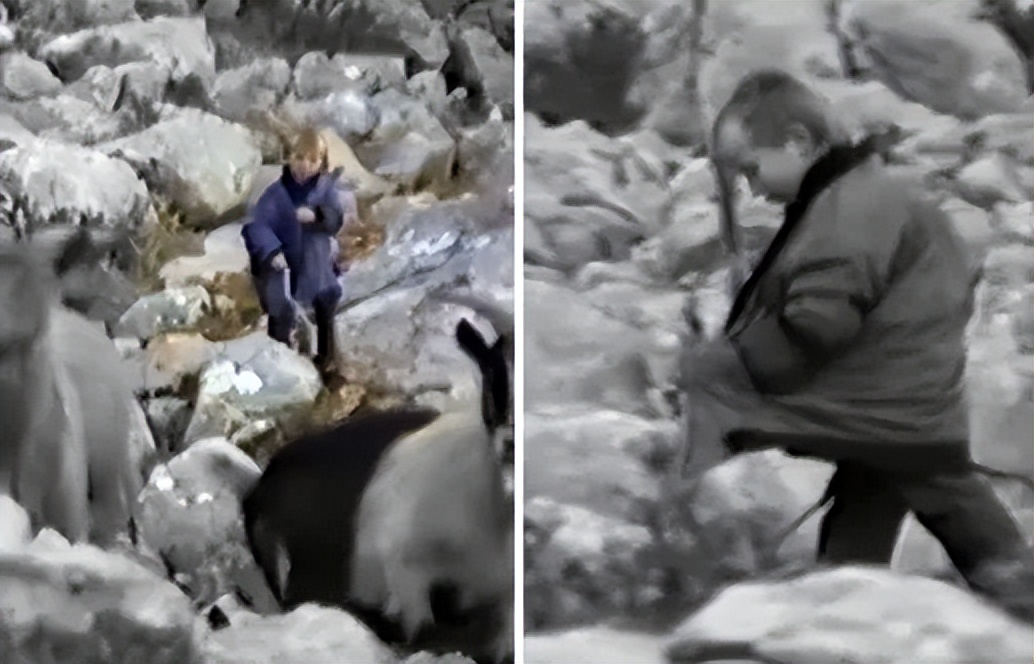 从放羊人到世界球星莫德里奇,从放羊娃到国家队