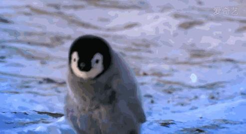 玉林一孕妇上厕所时，突然生了！孩子被卡蹲便器......