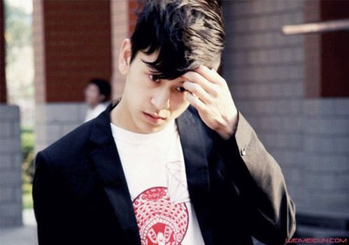 评分最高的毛骗十部电视剧,毛骗评分是不是国产剧最高