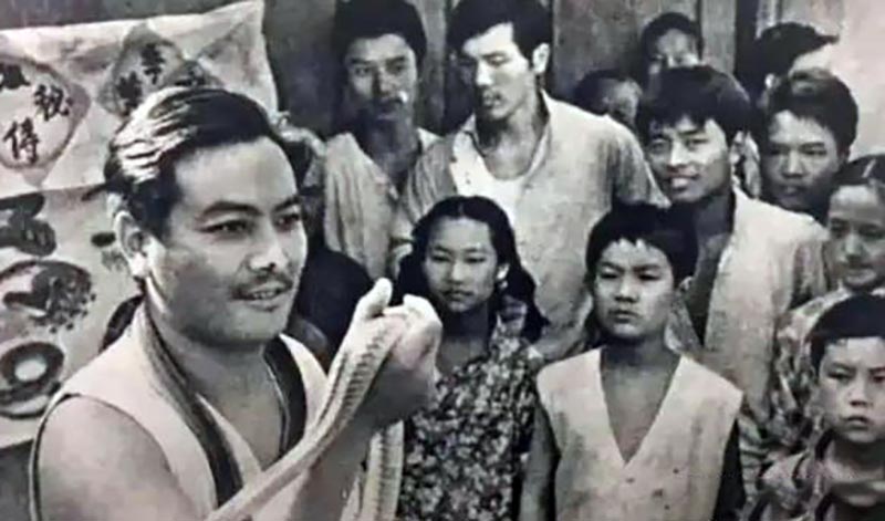 民间毒蛇咬伤特效药,江苏民间医生以毒蛇试毒炼成秘药