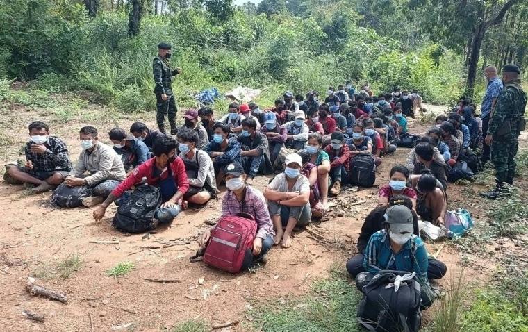 国内女子在缅北驯狗是怎样的,缅北训狗场真的会让人听话吗