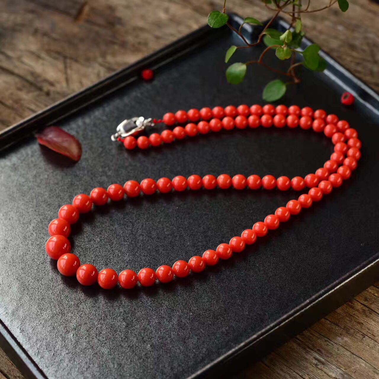 台湾行完整版,台湾渔民钓到红珊瑚