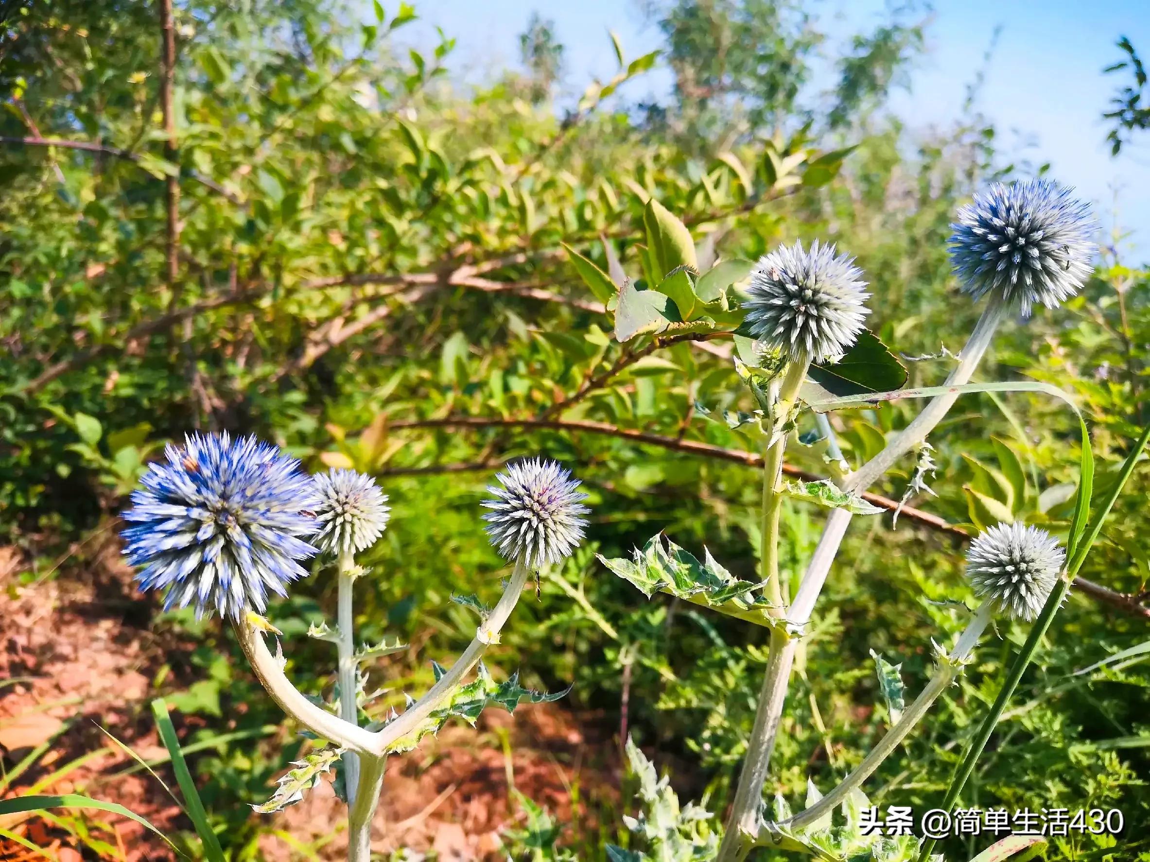 徒步穿越南太行山经典路线,夏季徒步太行山攻略