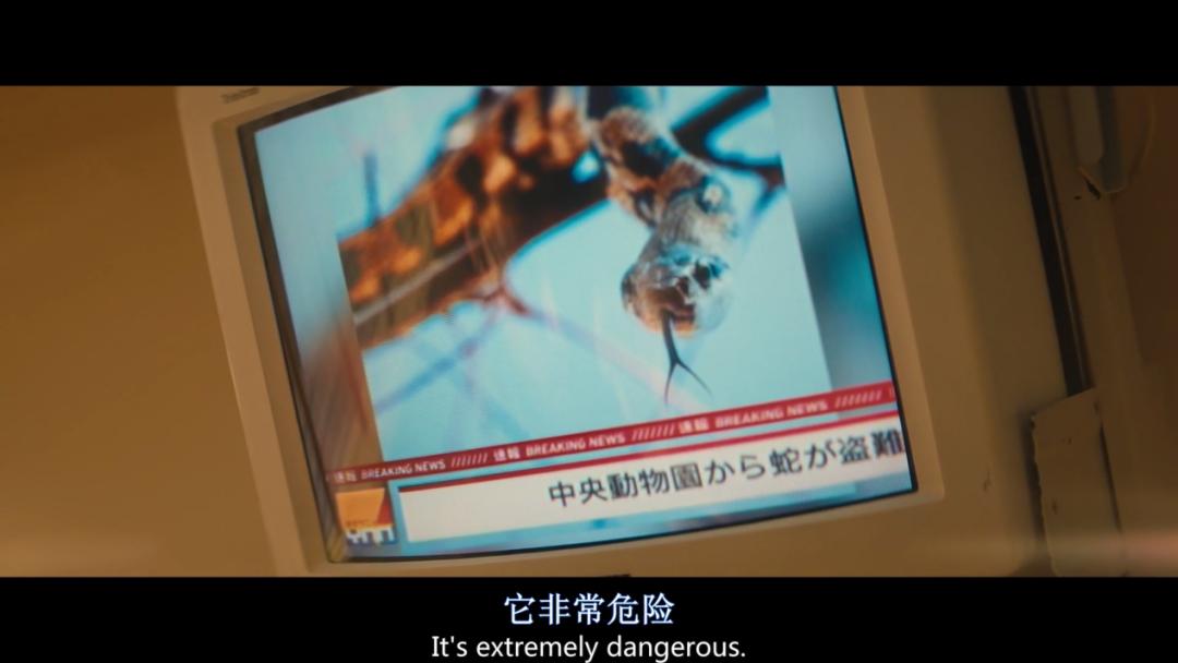 不愧是男神，这大尺度神片没让我失望